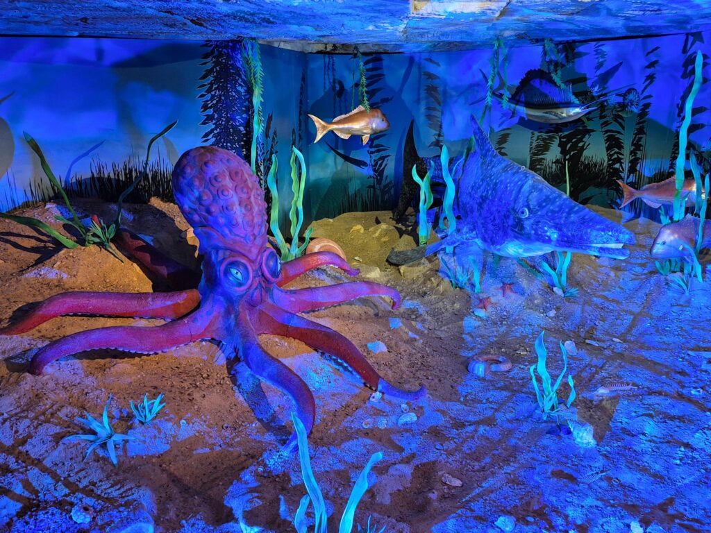 洞窟内の水族館