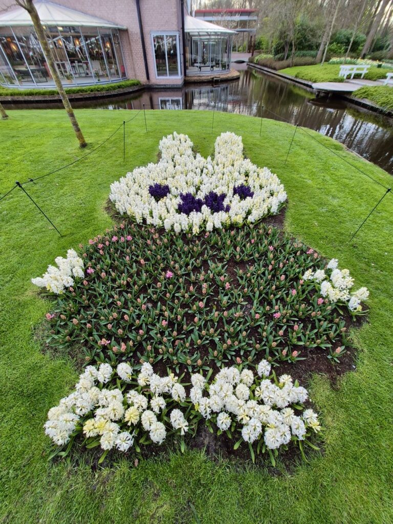 ヒヤシンスのモザイク