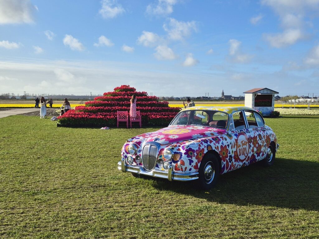 チューリップのピラミッド