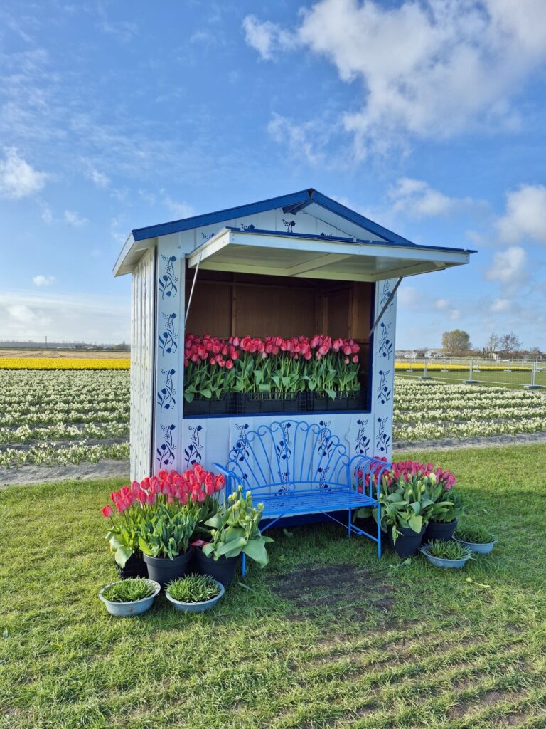 チューリップのオブジェ